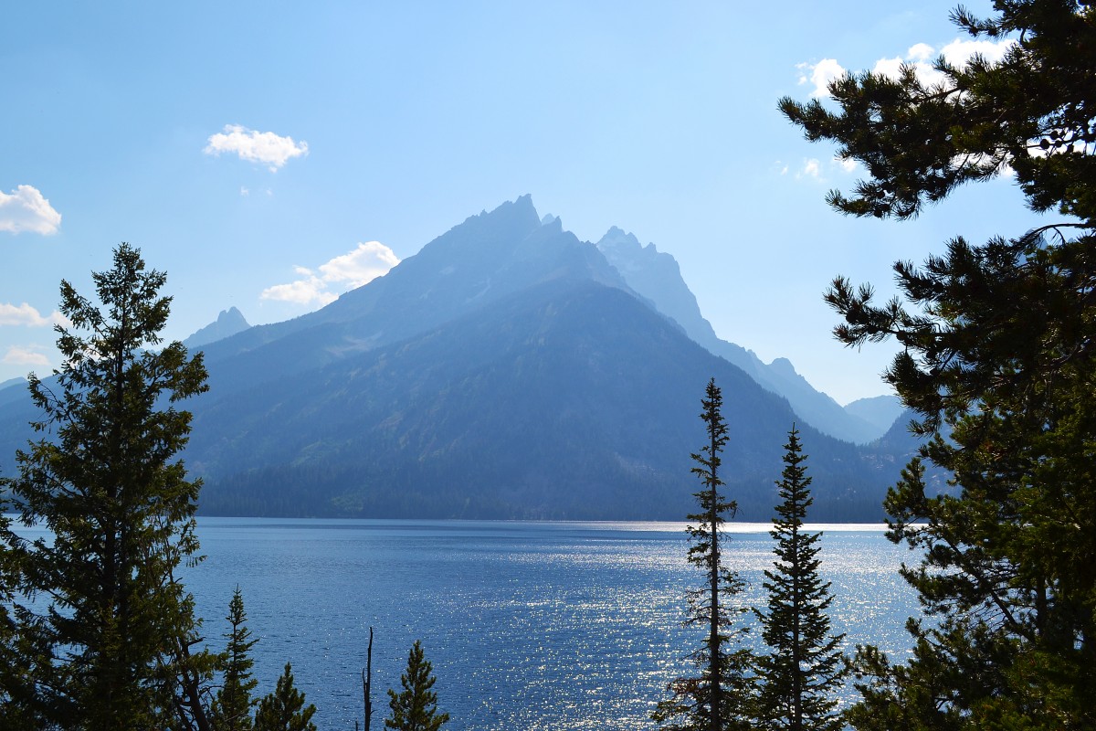 Family Vacation in the Tetons - Homejoy